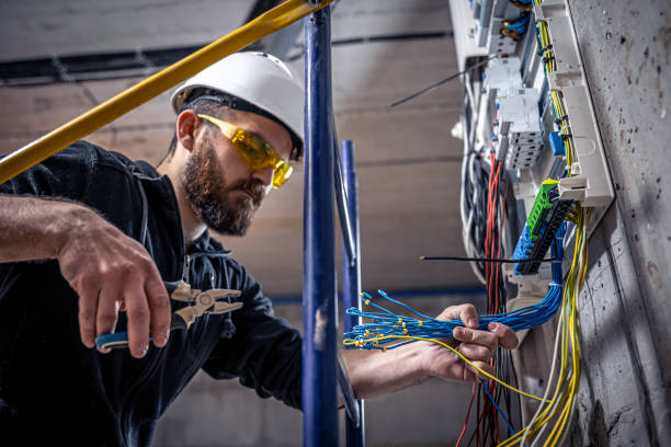 Best Electrical Upgrades for Homes  in Carrollton, AL