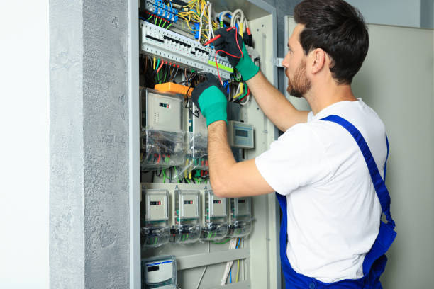 Best Electrical System Inspection  in Carrollton, AL