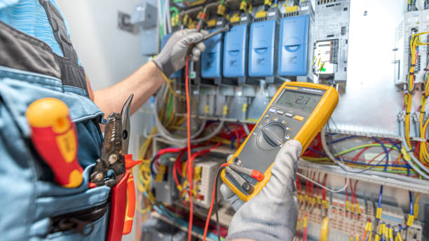 Best Electric Panel Repair  in Carrollton, AL