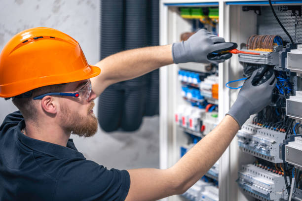 Best Electrical System Inspection  in Carrollton, AL