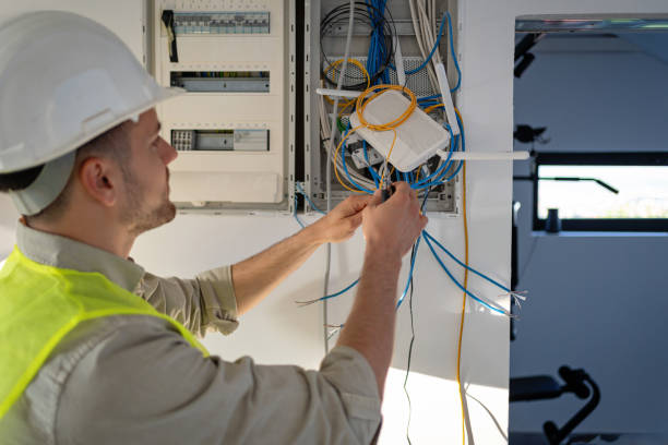 Best Home Electrical Repair  in Carrollton, AL