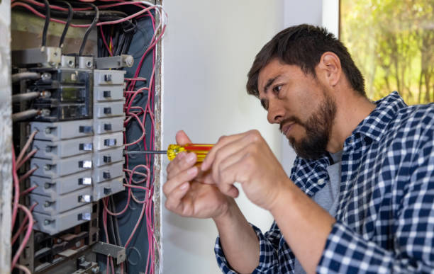Best Local Electrician Companies  in Carrollton, AL